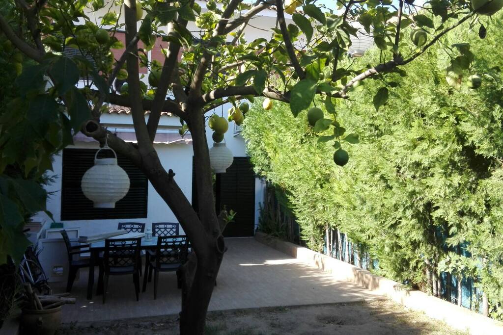 Jardín de la casa