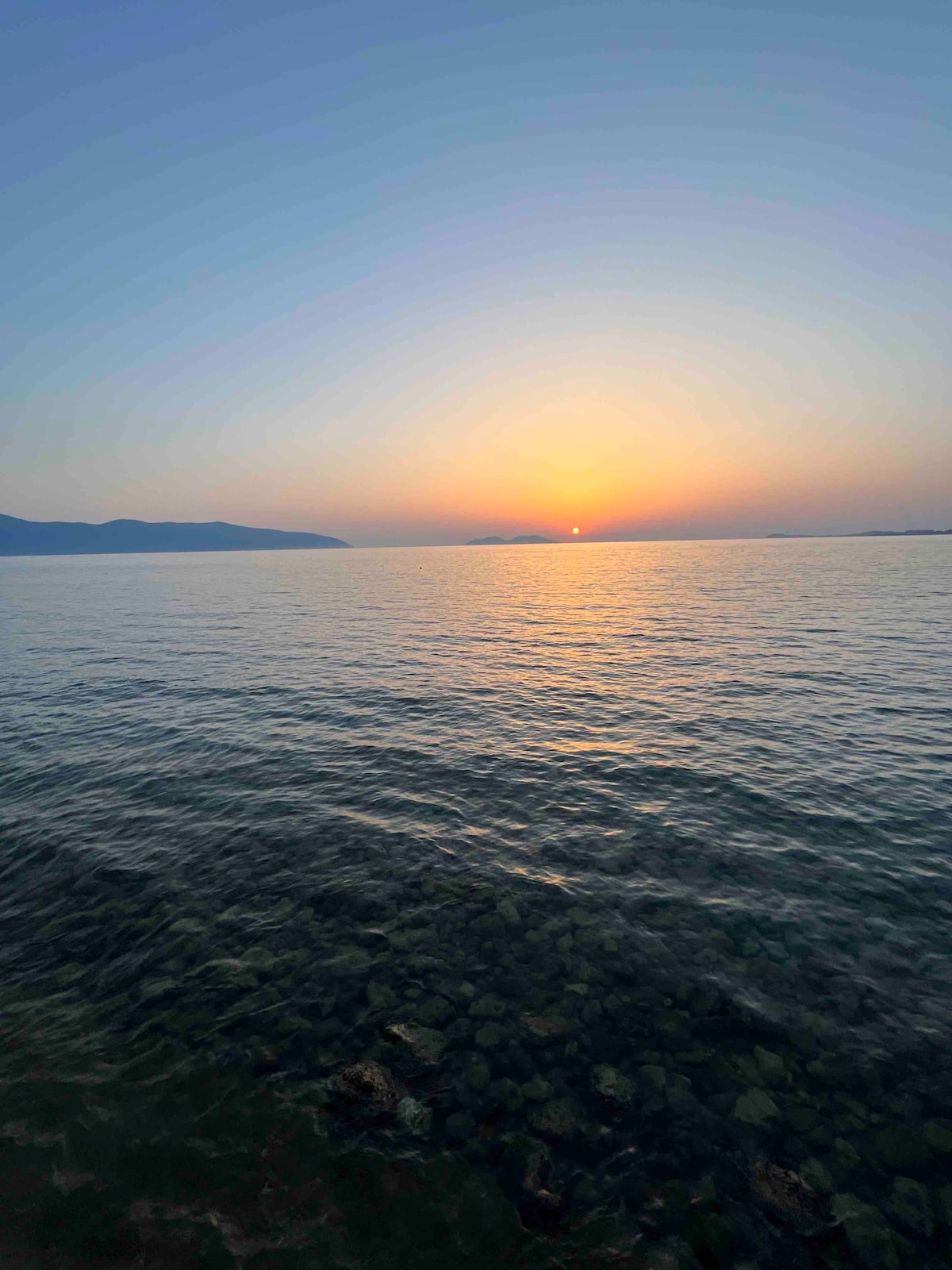 Listing 845592393952878613