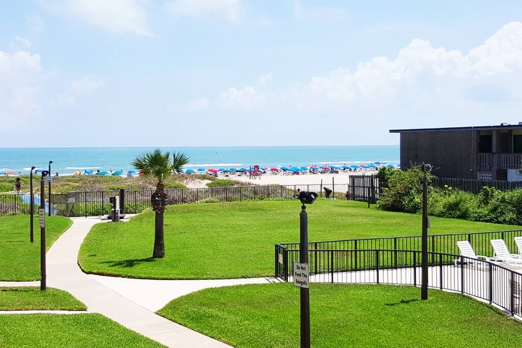 Beach view.