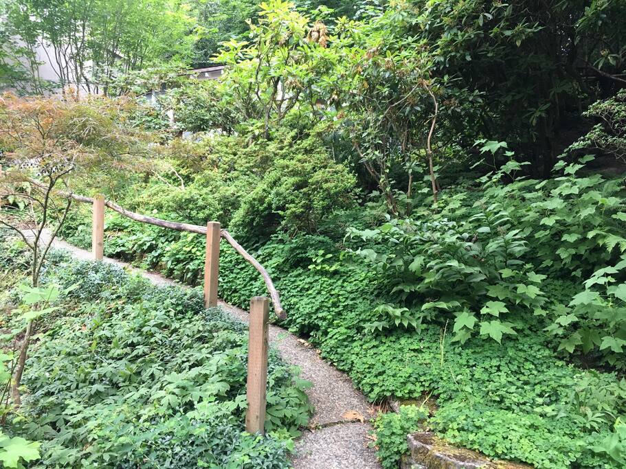 Path to the front door.