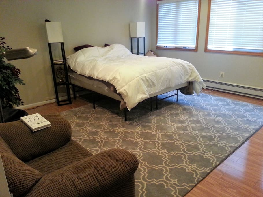Bedroom #1 - Largest (closet, dresser, mirror, desk, area rug, linens, chair, baseboard extra heating, 3 large windows, upgraded electric outlets, television installed on wall)
