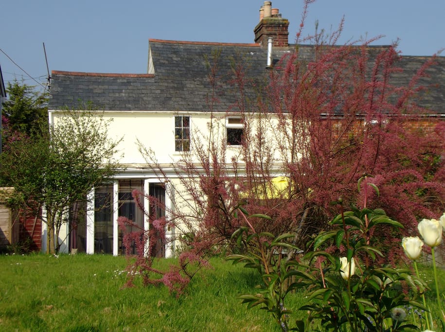 Back Garden