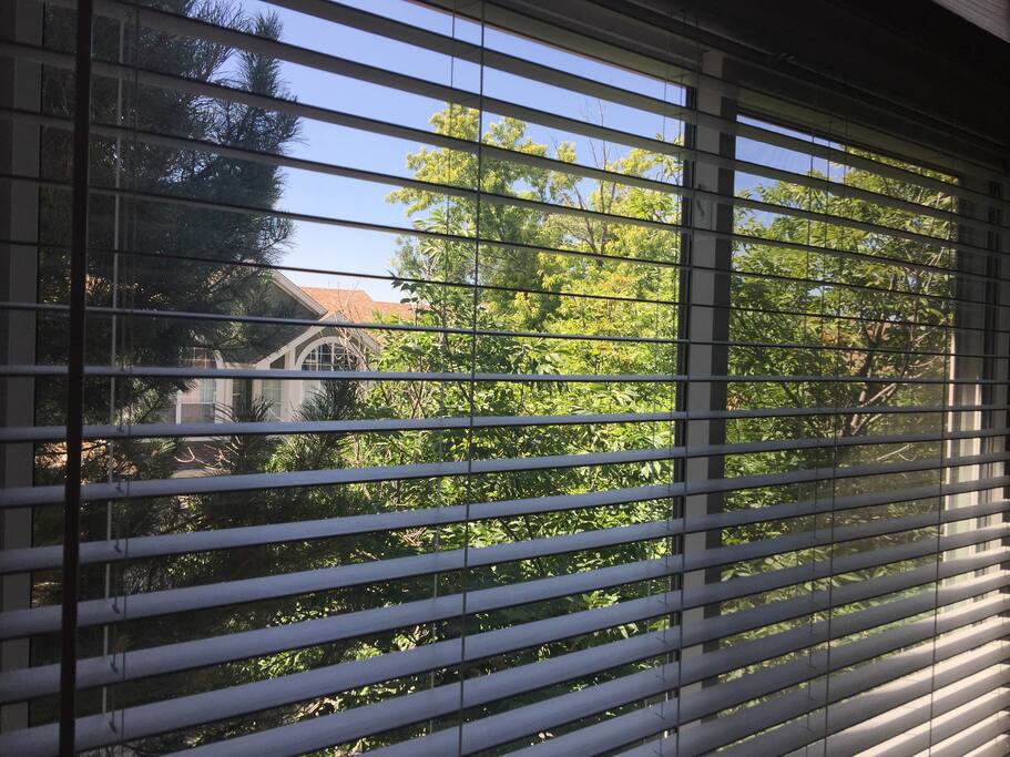South Facing Window