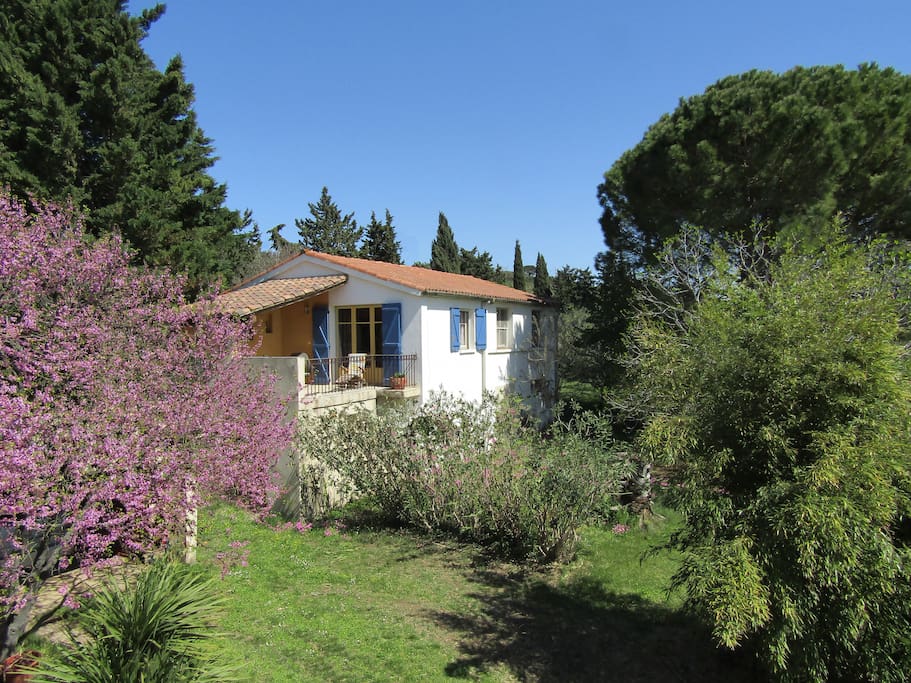 "Le Mûrier" vue de sud-ouest