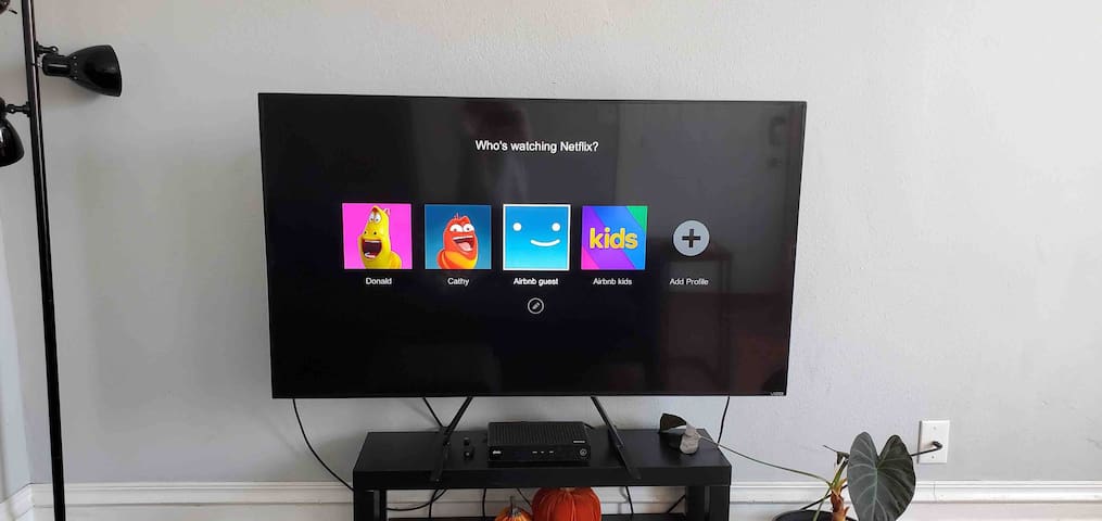 4BR/2BA Sleeps 10. Use 2 units [2F & Basement] gallery image 4