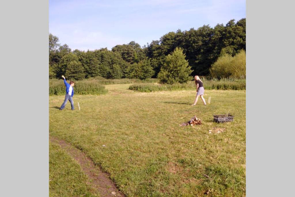 Cricket on the lawn