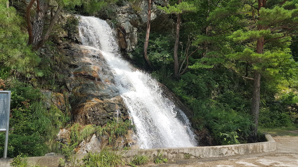 A gentle waterfall cascades down rocky terrain, creating a soothing sound. Surrounding greenery, including tall pine trees and shrubs, frames the scene. The water flows into a small basin at the base, contrasting with the rugged stone and inviting a sense of tranquility.