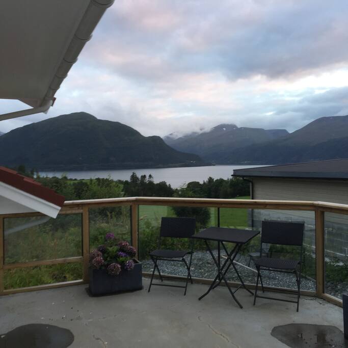 The view.