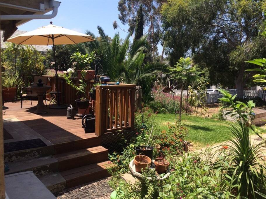 Front deck and yard. Completely fenced in and great for animals!