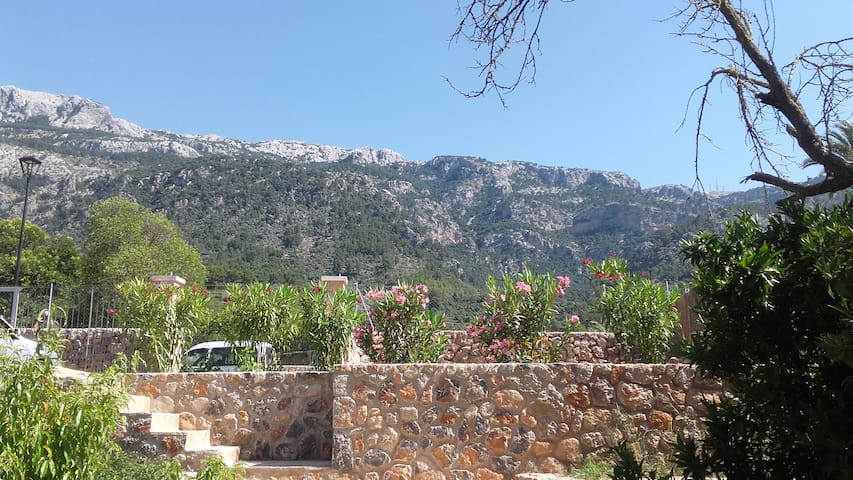 Stadthaus mit Garten und Pool in Soller- seit 2018 gallery image 5