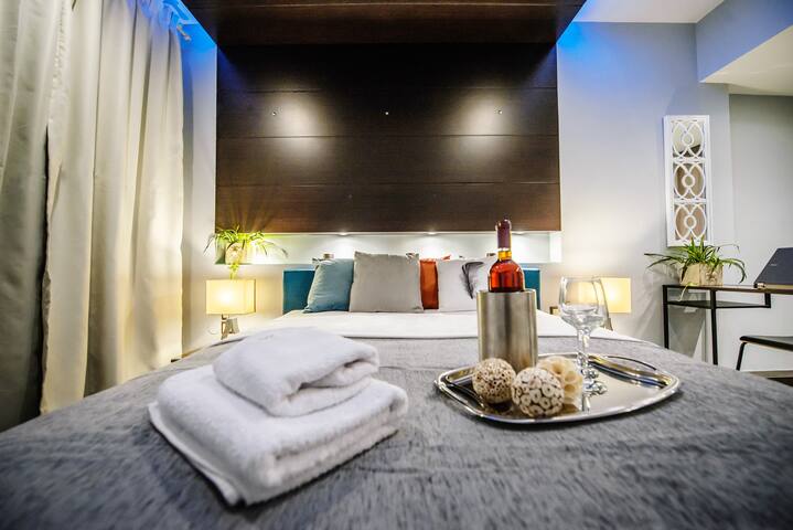 One-of-a kind LUXURY home downtown Near HELEXPO