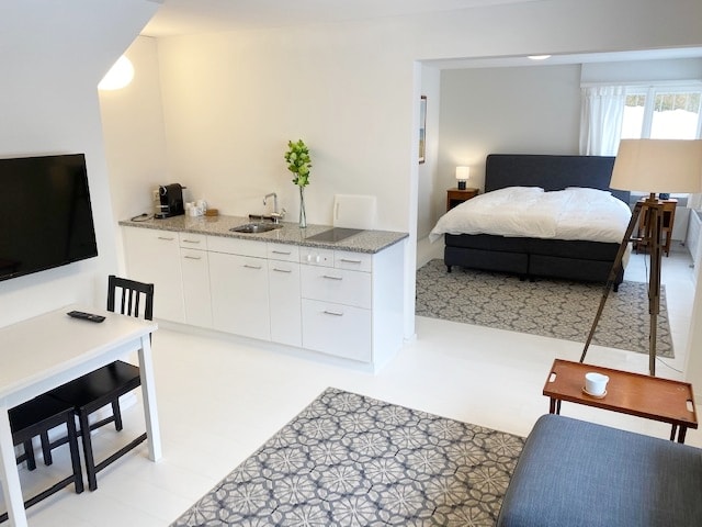 An open-plan living area is illustrated, featuring a well-equipped kitchen with modern appliances, a small dining table, and a comfortable King-size bed in the background. A cozy sofa sits adjacent to a patterned rug, with ample natural light streaming in through large windows.