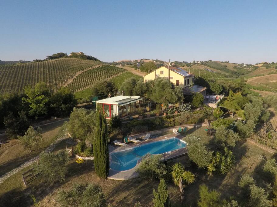 A view from above