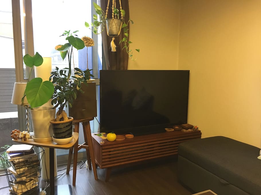 49 inch flat TV with FireTV_Living room
