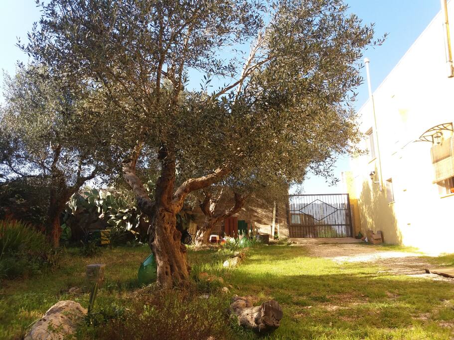 L' ingresso del rustico.