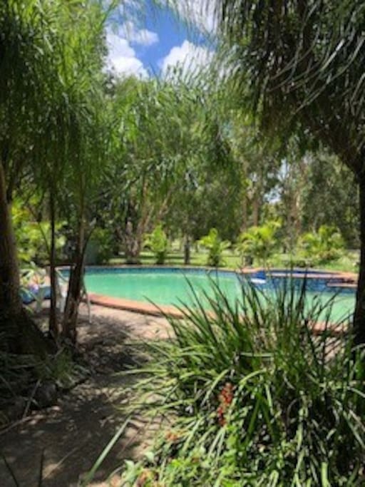 15 metre pool