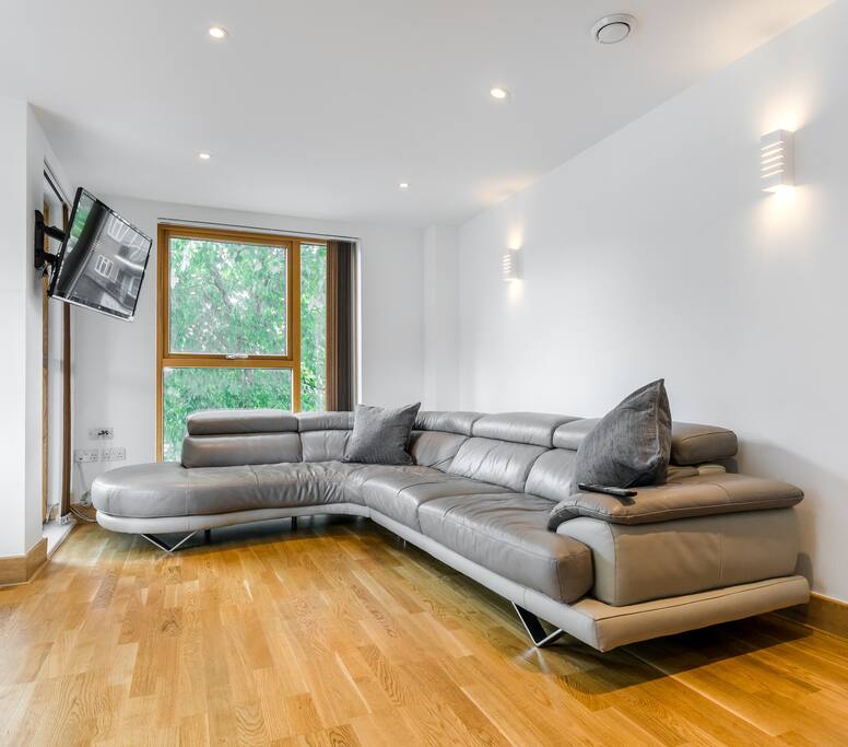 Enormous sofa and flat screen TV