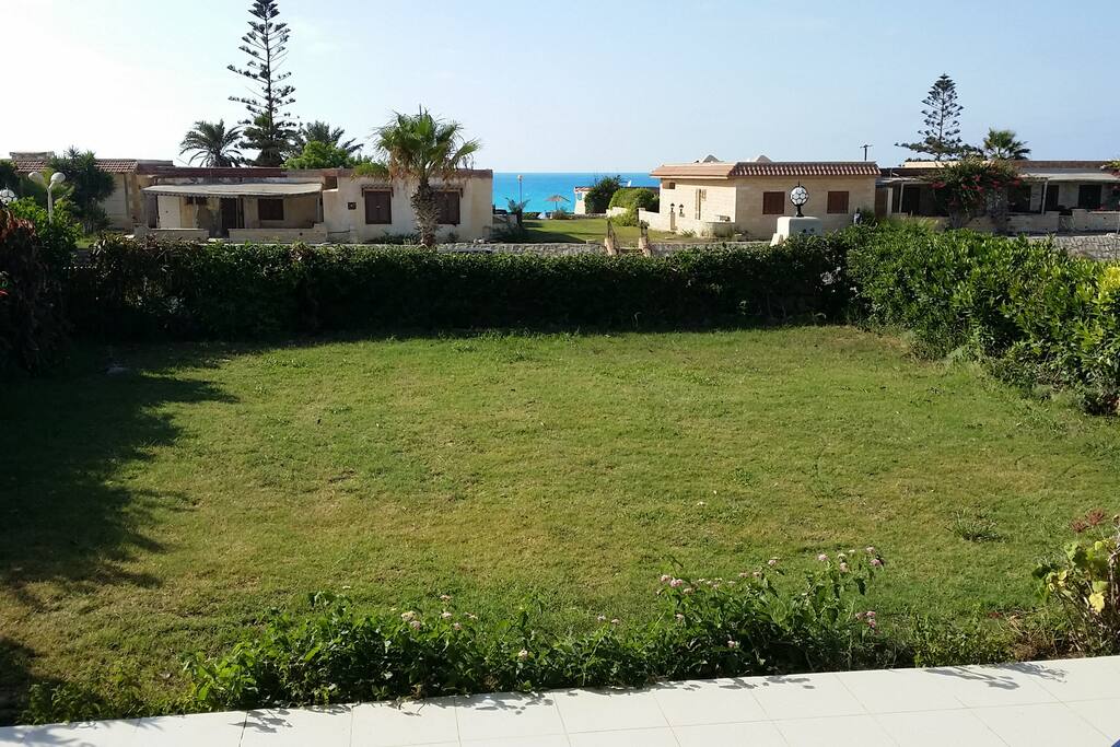 Terrace View
