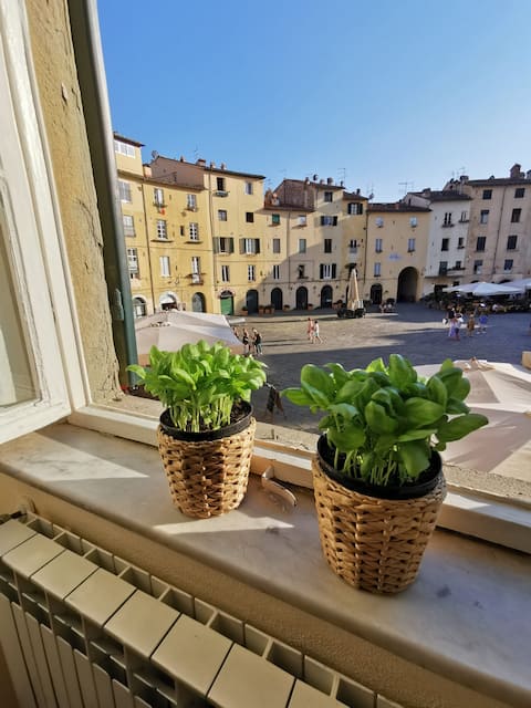 In Anfiteatro. Vivere Lucca immersi nella storia