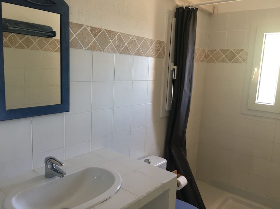 salle de bain avec douche