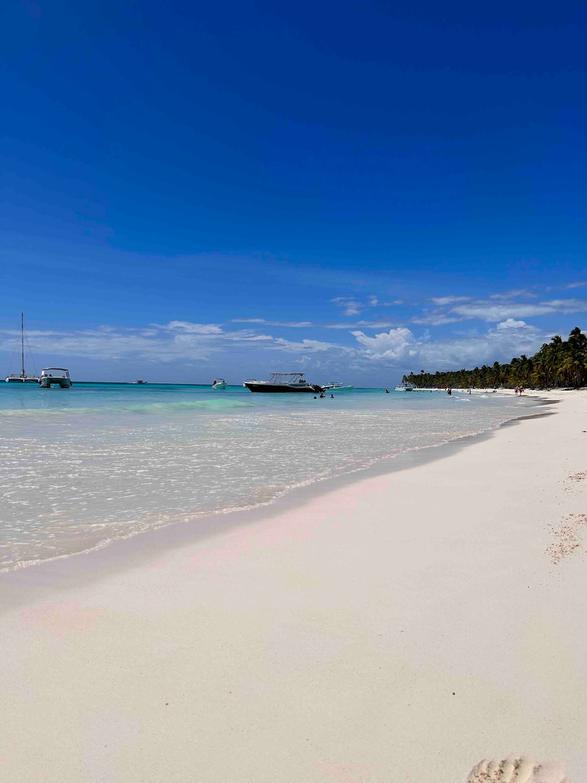 A serene beach scene features fine white sand and crystal-clear turquoise water. Boats are anchored in the calm sea, while a lush palm tree line marks the edge of the beach. The vibrant blue sky enhances the tranquil atmosphere, inviting relaxation.