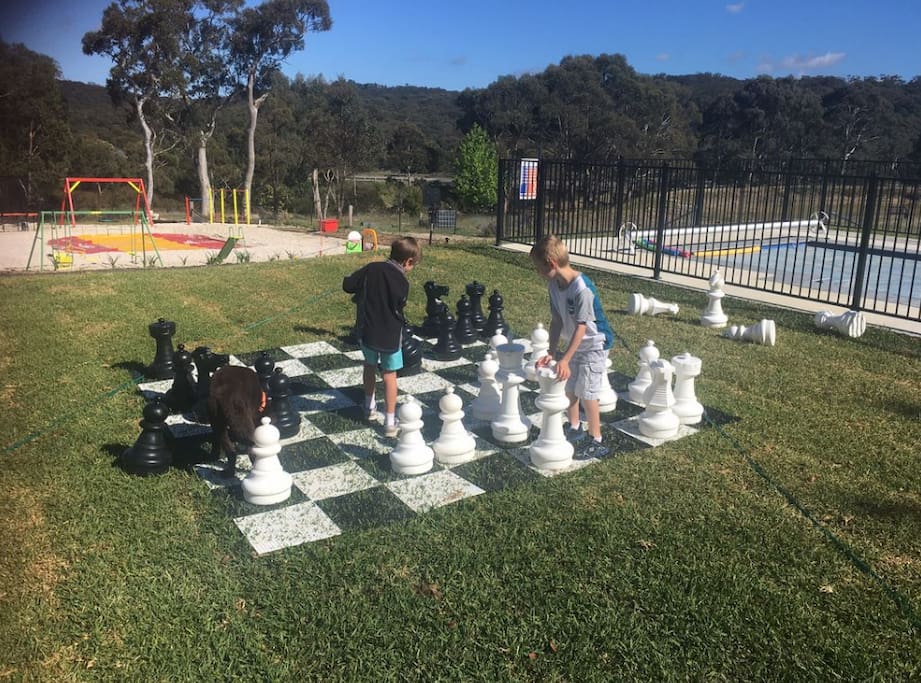 Pool, Chess, Kangaroo Jumper
