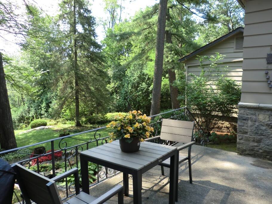 a glance at Elsa’s backyard