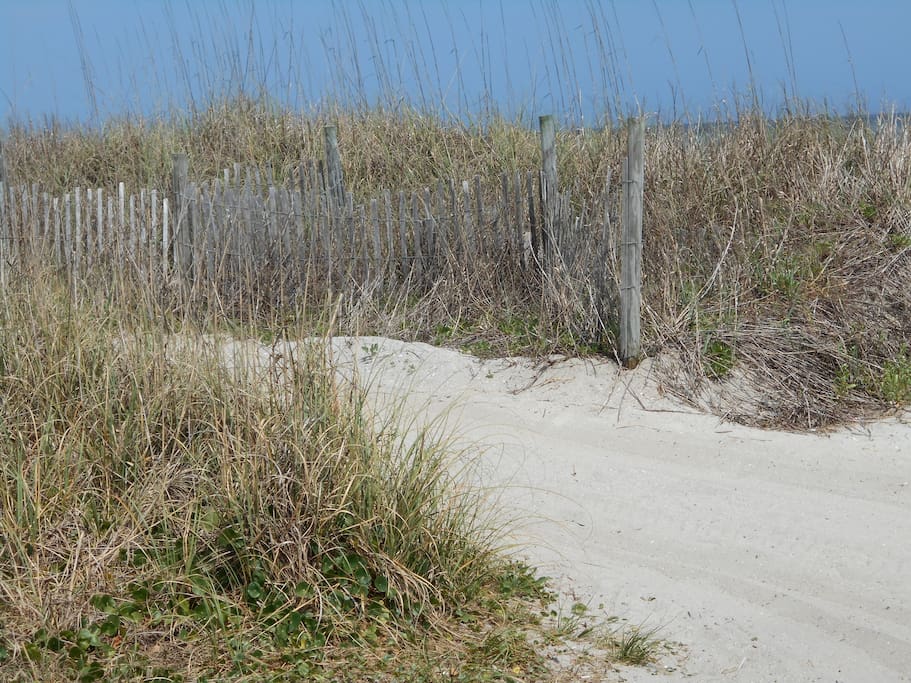 Sand Dunes across the street at the beach.