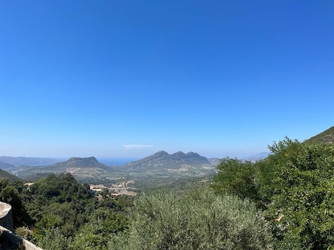 House -4 Pers- Exceptional sea and vineyard view