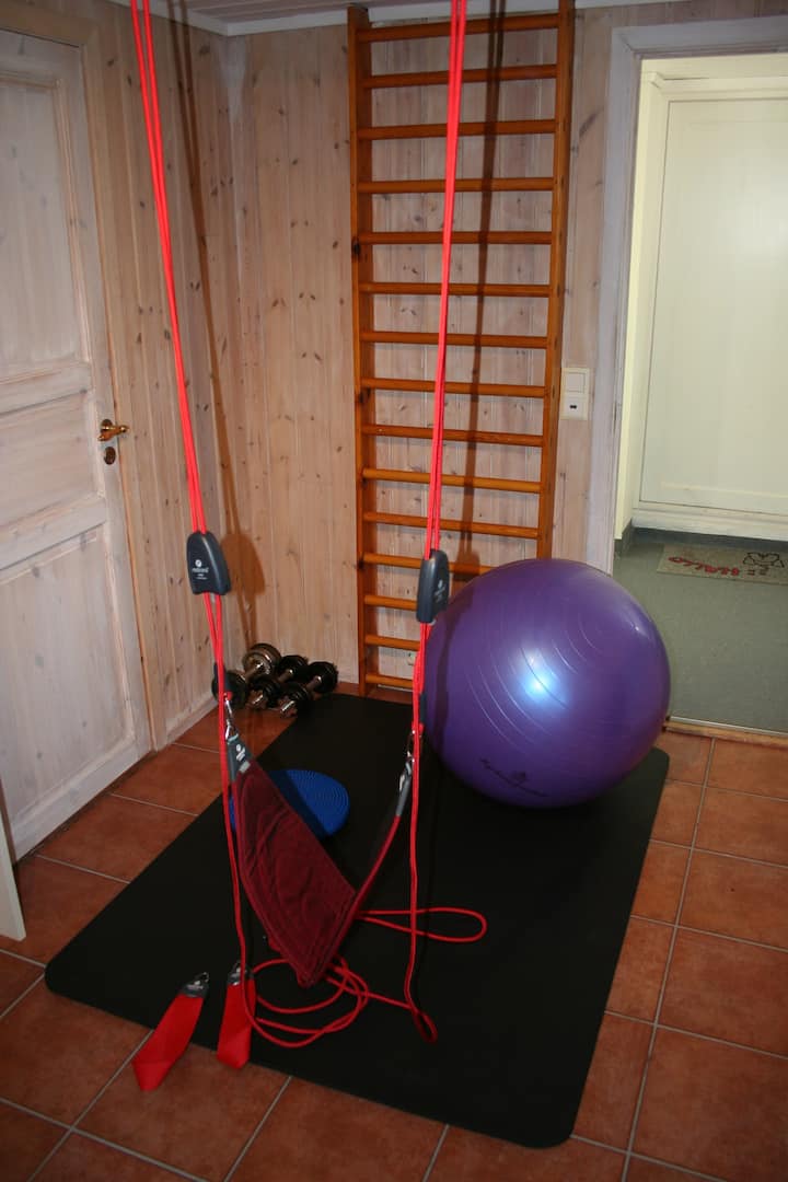 "Mini gym" in hall. Extra matress can be placed in this room.