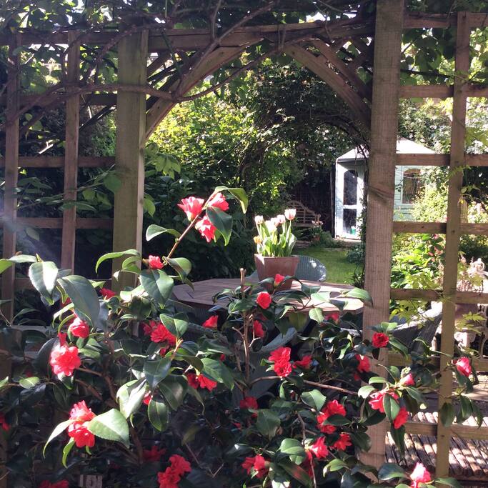 Our spring garden