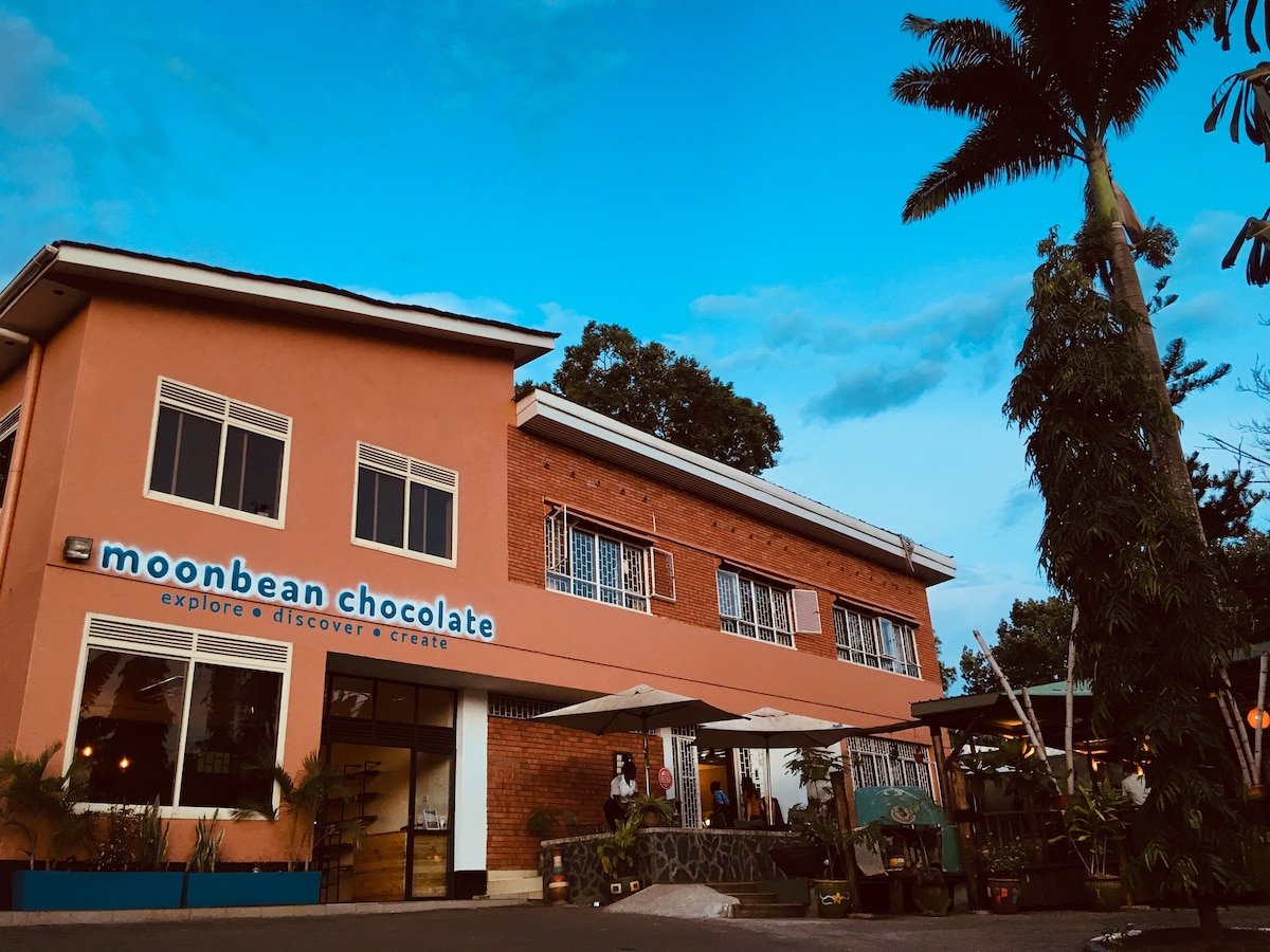 The exterior of moonbean chocolate features a two-story building with a blend of brick and smooth surfaces. Large windows provide visibility into the inviting space. A sign displays the name of the establishment, framed by tropical foliage and a clear blue sky.