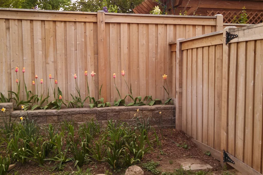 Private, fully enclosed back yard.