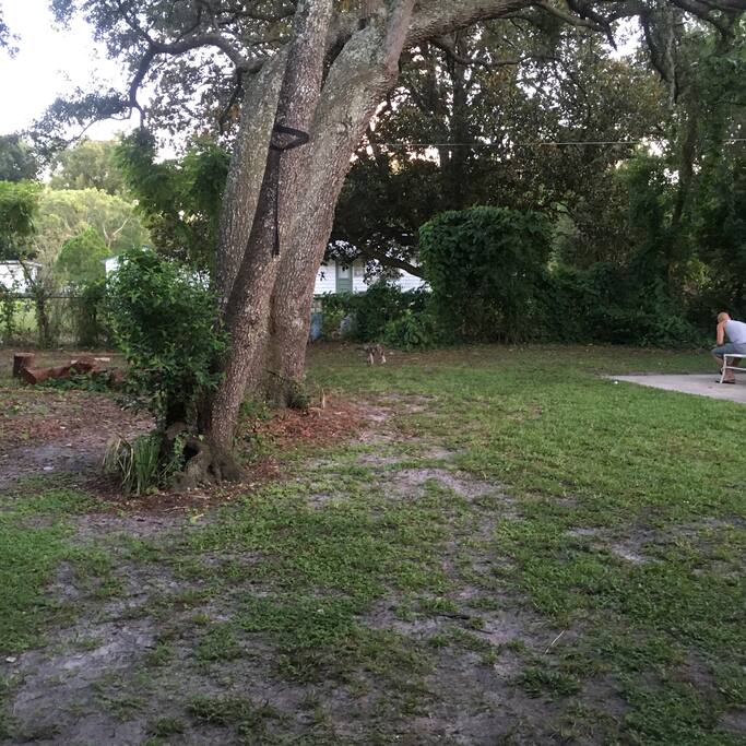 2nd backyard