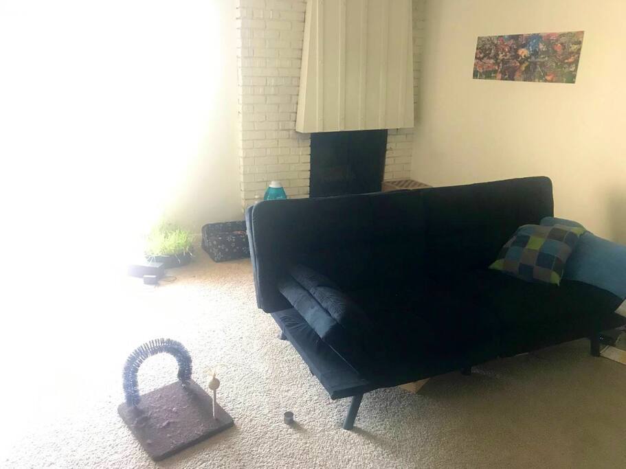 sleeping area