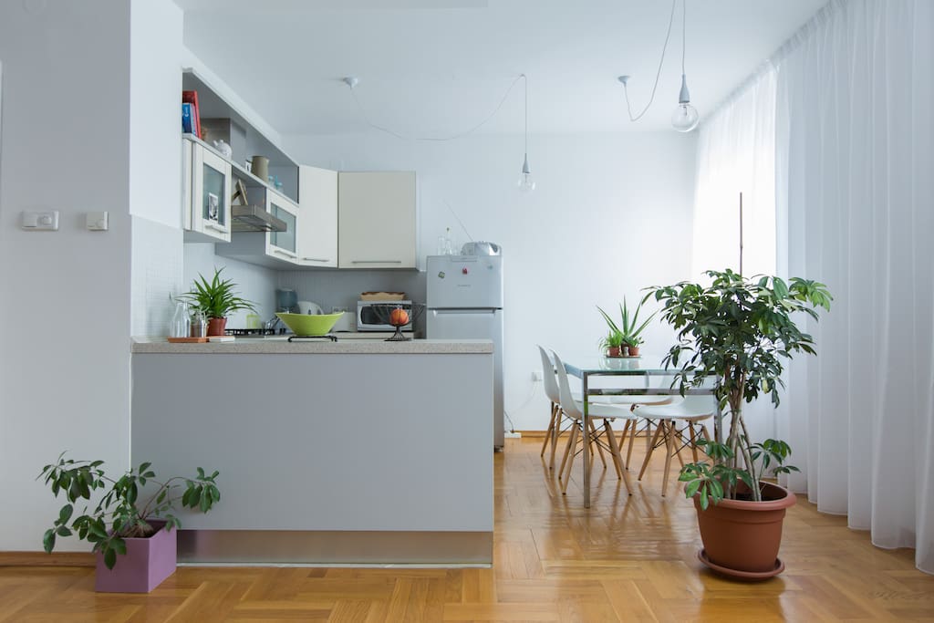 Very bright apartment