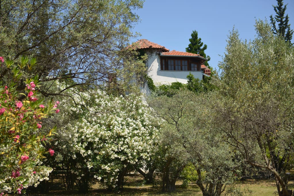 the tower