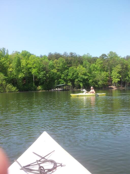 Floating covered dock with swim platform. Perfect for your boat.