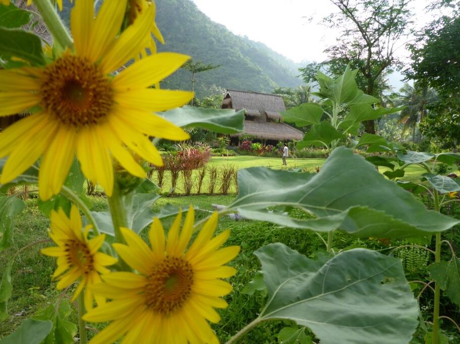 the lumbung -- our guesthouse
