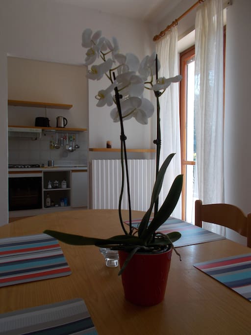Soggiorno - area pranzo e cucina