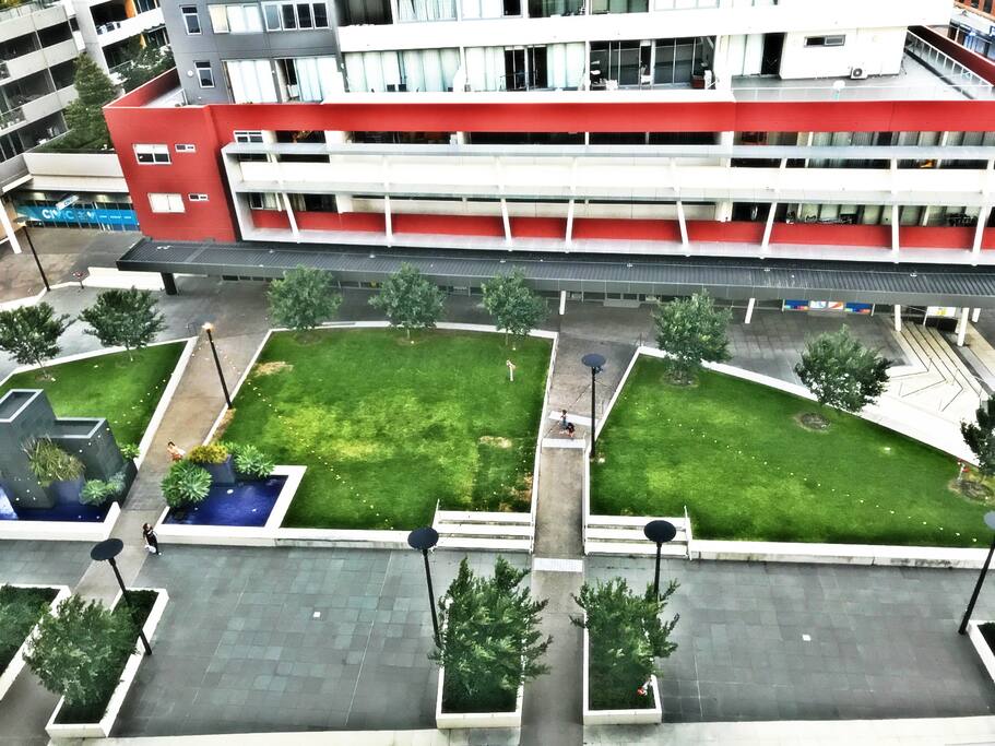 overlook the garden
