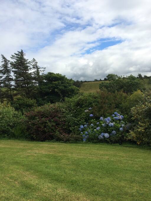 Mature gardens