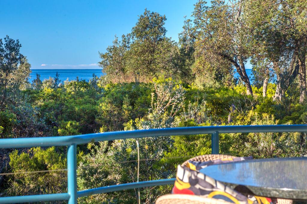 Beautiful treetop views to the ocean.