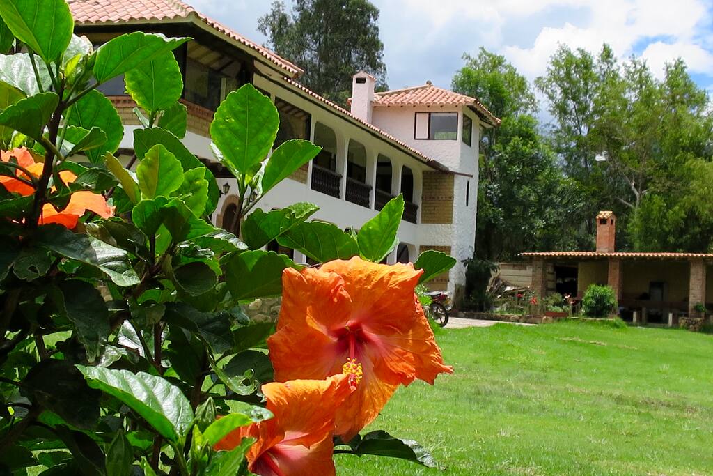 jardin