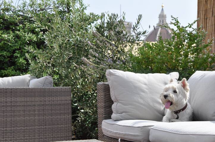 Location Ponte Trinita by Antica Torre Tornabuoni gallery image 3