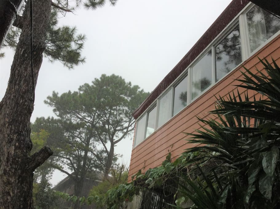 watch the fog roll in