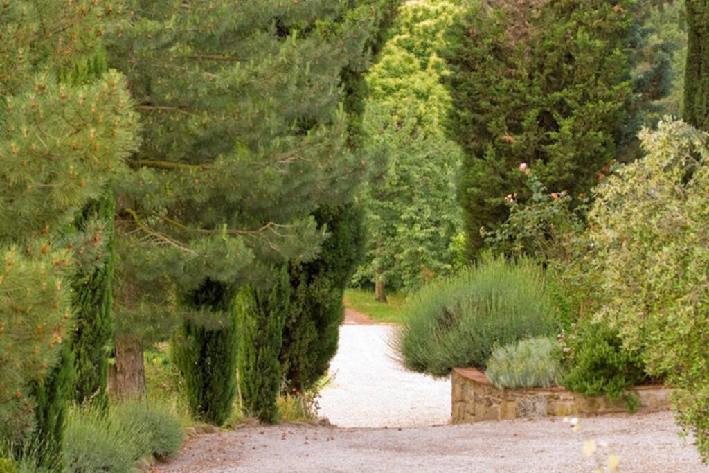 Podere Villole Montevarchi Toskana
Die Eingänge der drei Appartments Firenze, Siena und Arezzo sind südseitig ausgerichtet und gleich nach Parkplatz und Auffahrt zum Gut zugänglich