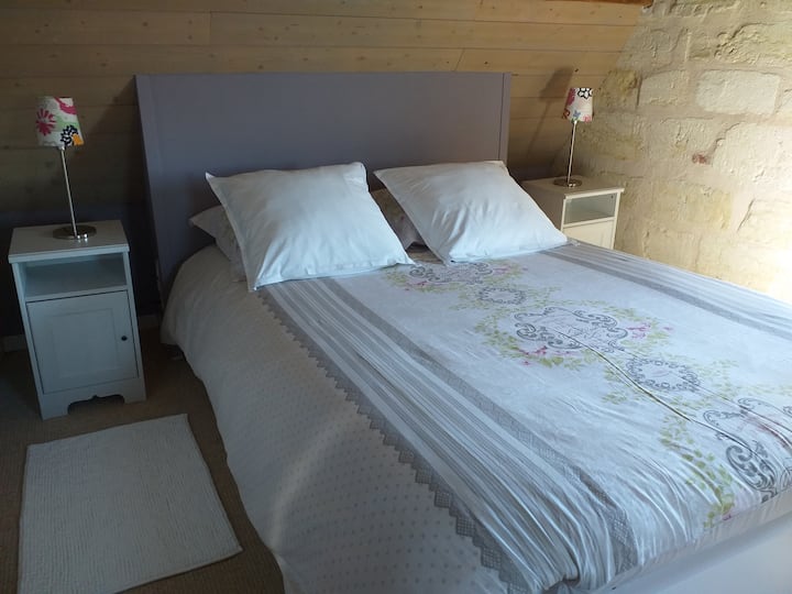 可欣赏安博瓦城堡（ Château Royal d 'Amboise ）美景的房间。