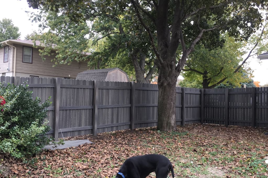 Private fenced in backyard