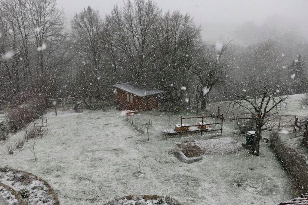Garten im Winter